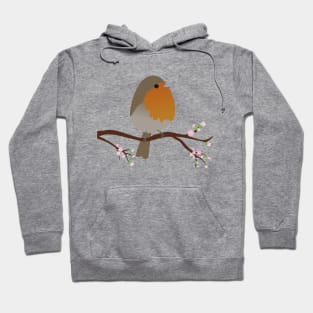 Cute egg shaped robin Hoodie